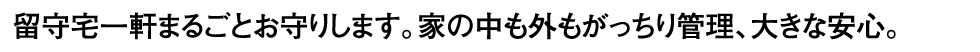 留守宅一軒まるごとお守りします。家の中も外もがっちり管理、大きな安心。
